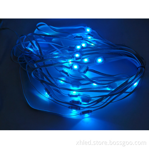 Outdoor Holiday LED Point Lights for Christmas Decorations